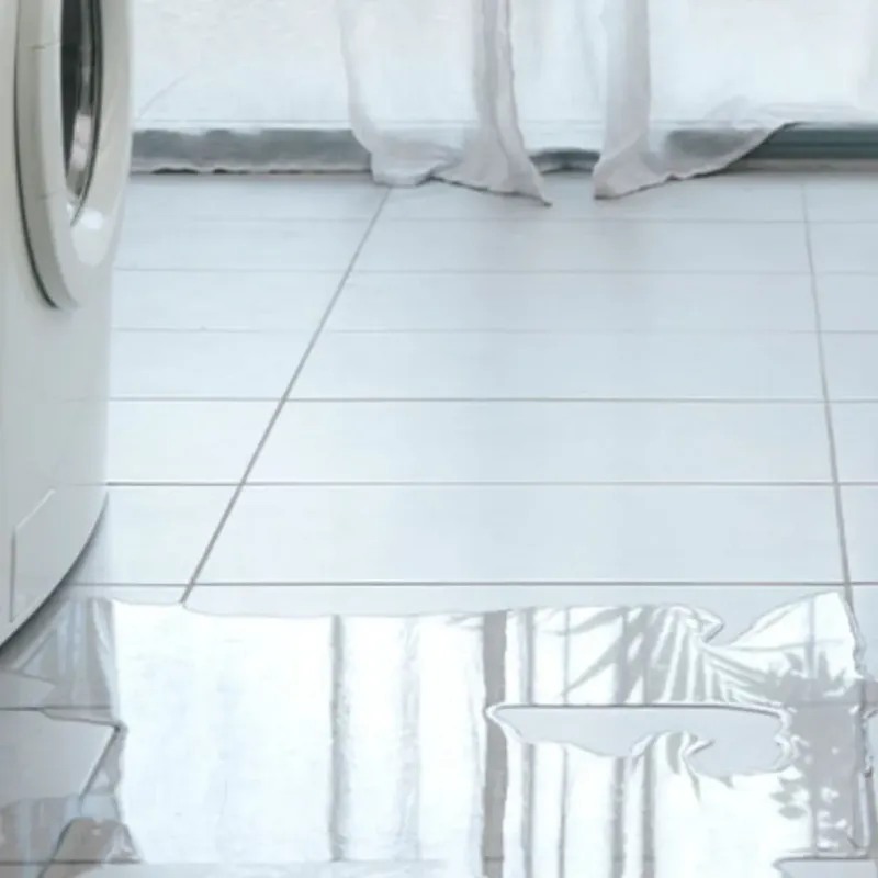Appliance Leak Cleanup in Salisbury, NH