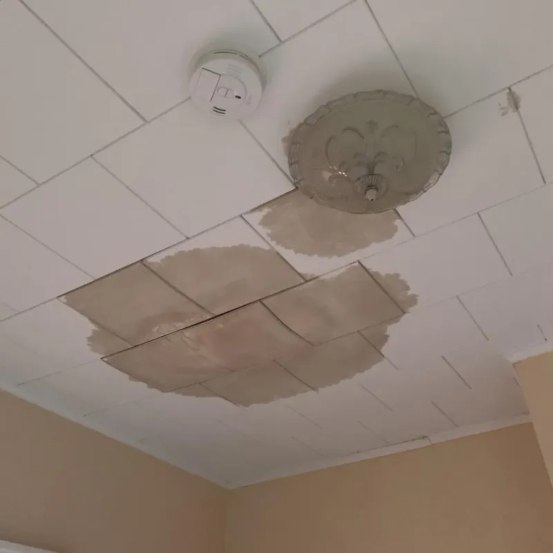 Ceiling Water Damage Repair in Salisbury, NH