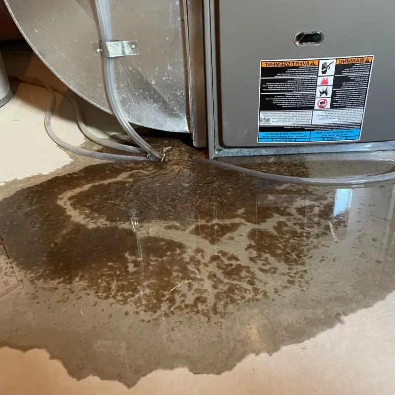 Pipe Burst and Leak Restoration in Salisbury, NH
